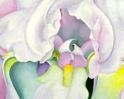 乔治亚奥基夫 - -Unknown